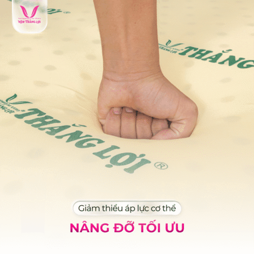 nemthangloichinhhang.vn cao su non nang do toi uu