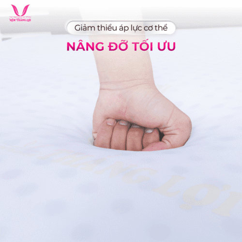 nemthangloichinhhang.vn csn cao cap dan hoi