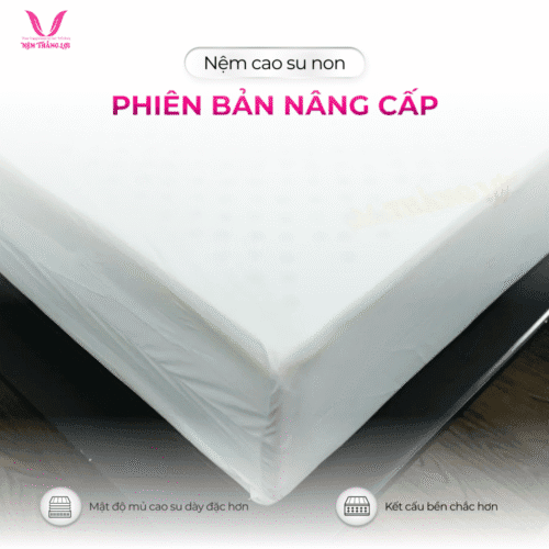 nemthangloichinhhang.vn csn cao cap nang do