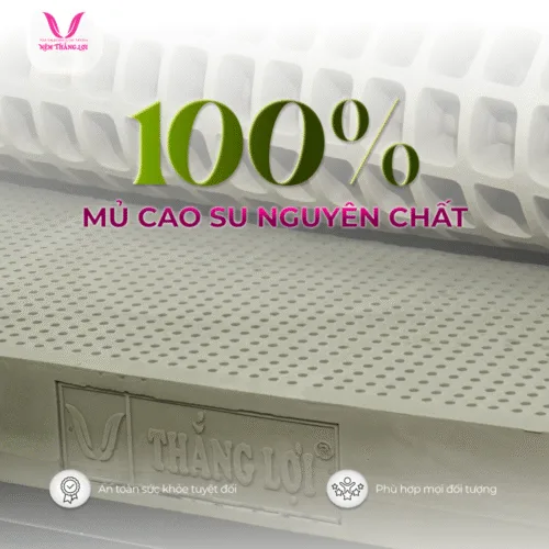 Alternative view of NỆM 100% CAO SU THIÊN NHIÊN THẮNG LỢI BOBO – THAN HOẠT TÍNH