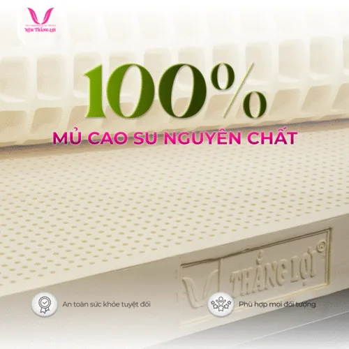 Alternative view of NỆM 100% CAO SU THIÊN NHIÊN THẮNG LỢI SISI – ADVANCED