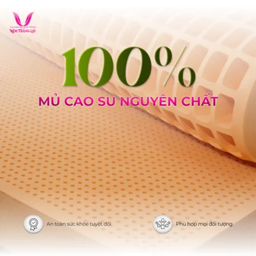 Alternative view of NỆM 100% CAO SU THIÊN NHIÊN THẮNG LỢI SUSU – ORIGINAL