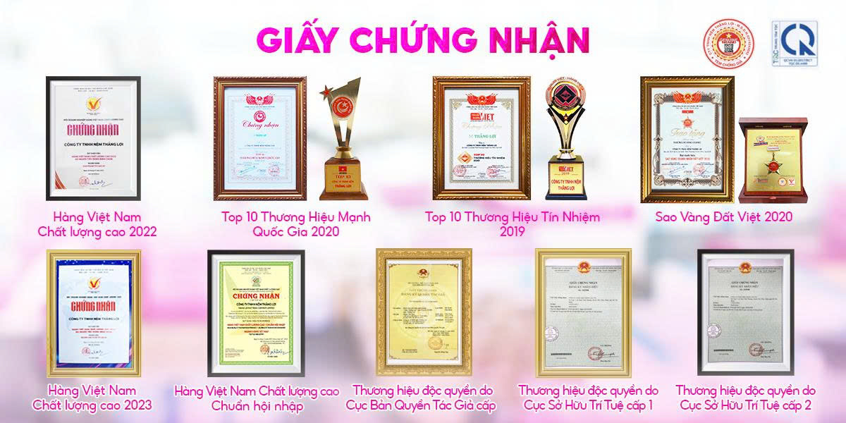 nemthangloichinhhang.vn giay chung nhan nem thang loi