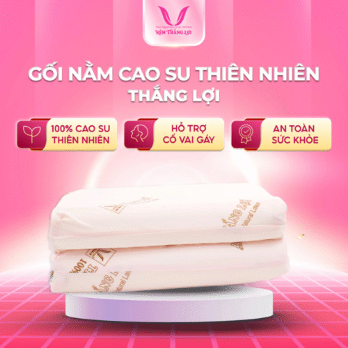 GỐI NẰM GAI NHỎ MASAGE CAO SU THIÊN NHIÊN THẮNG LỢI