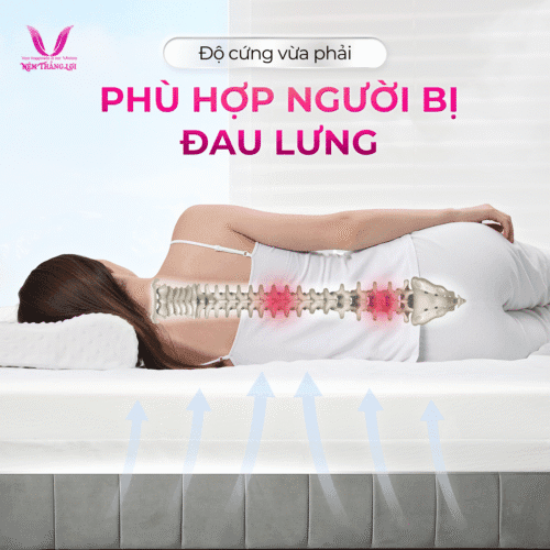 nemthangloichinhhang.vn wonderfoam thang loi nang do