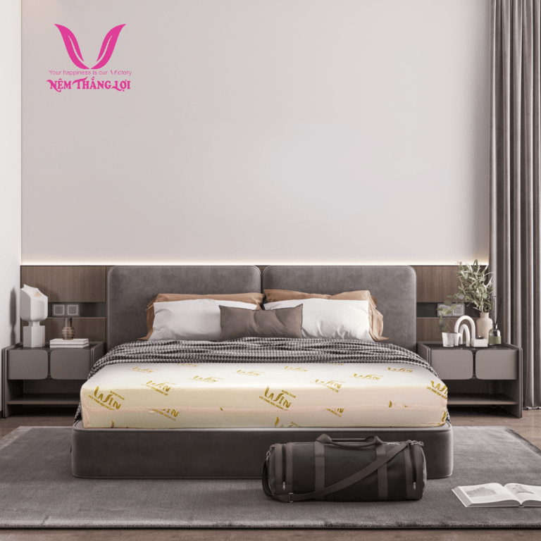 nemthangloichinhhang.vn anh san pham nem super win foam