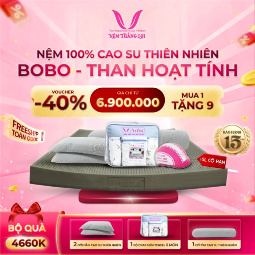 NỆM 100% CAO SU THIÊN NHIÊN THẮNG LỢI BOBO – THAN HOẠT TÍNH