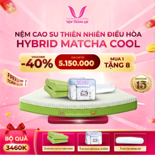 NỆM CAO SU THIÊN NHIÊN ĐIỀU HÒA HYBRID MATCHA COOL THẮNG LỢI