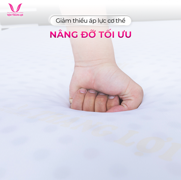  nệm cao su non Thắng Lợi 5cm