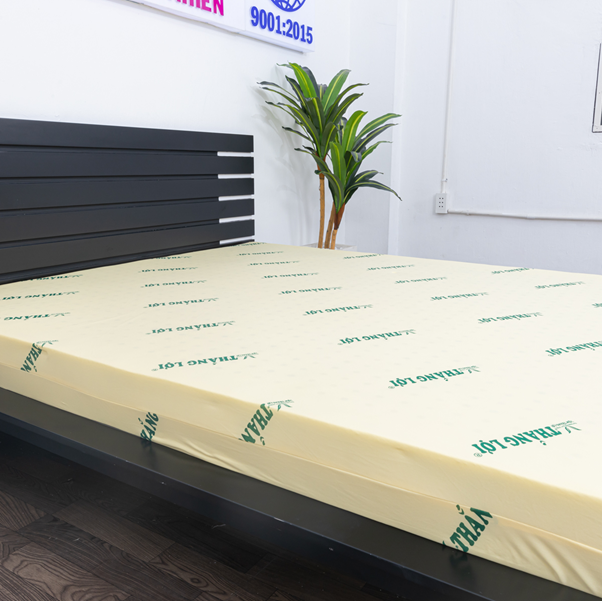 nệm cao su non Thắng Lợi 1m2