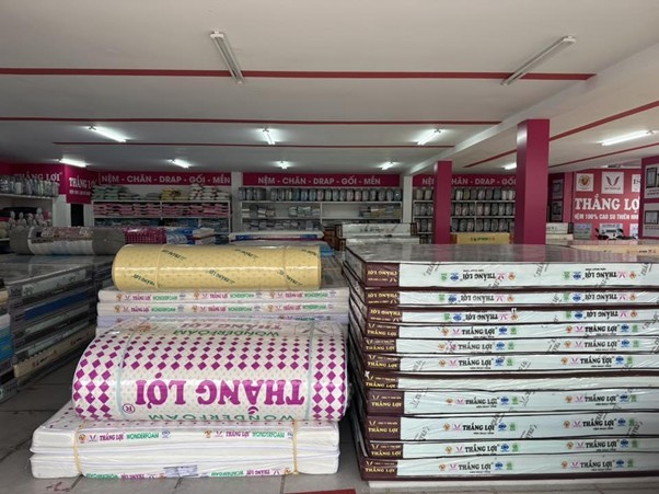 đại lý nệm Thắng Lợi uy tín